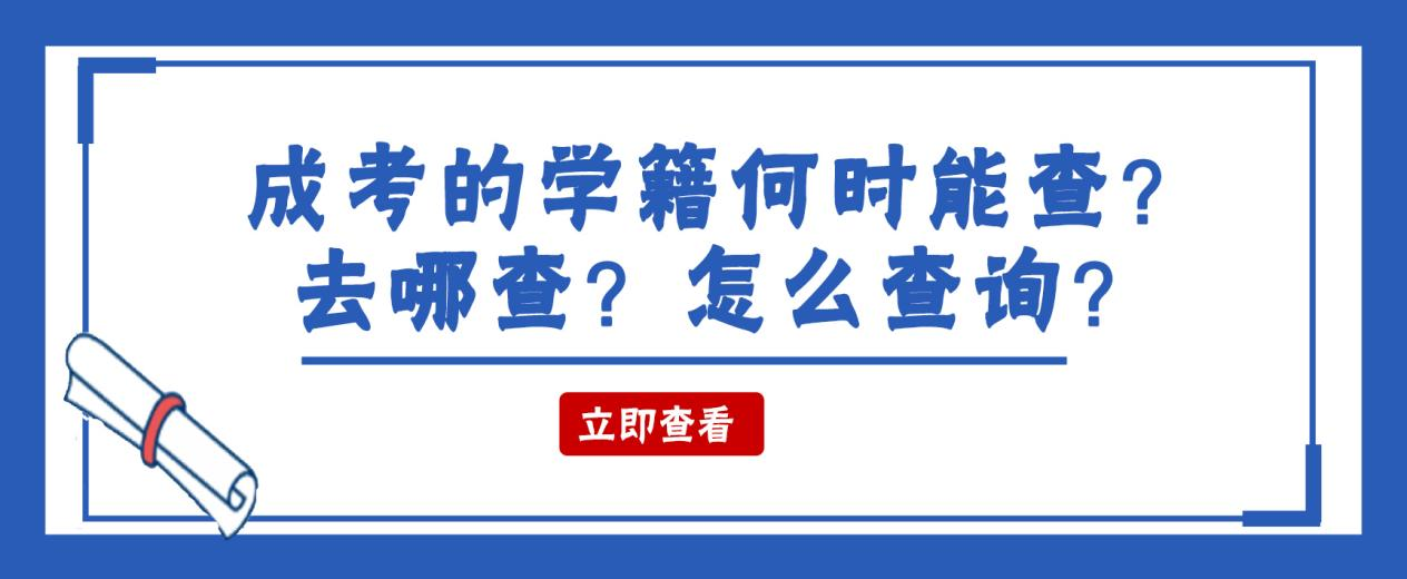 山东成考的学籍何时能查？去哪查？怎么查询？