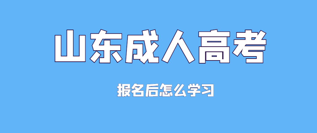 报名成人高考之后该怎么进行学习？