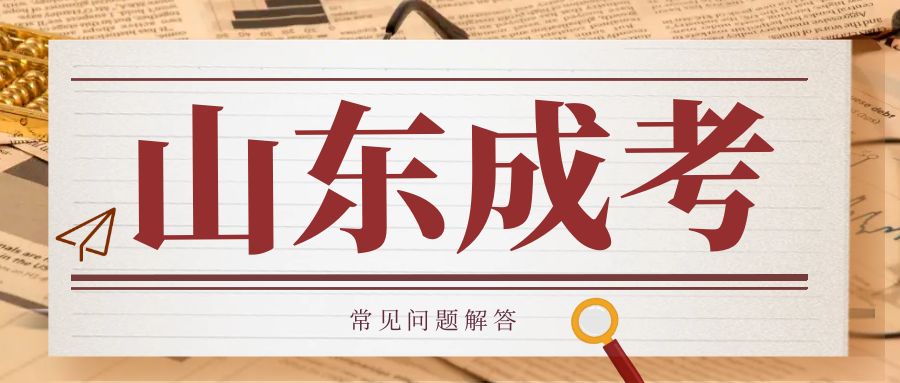 山东省成人高考现在开始报名了吗？