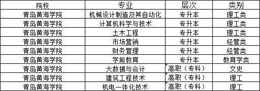 青岛黄海学院2024年山东成人高考报名(图2)