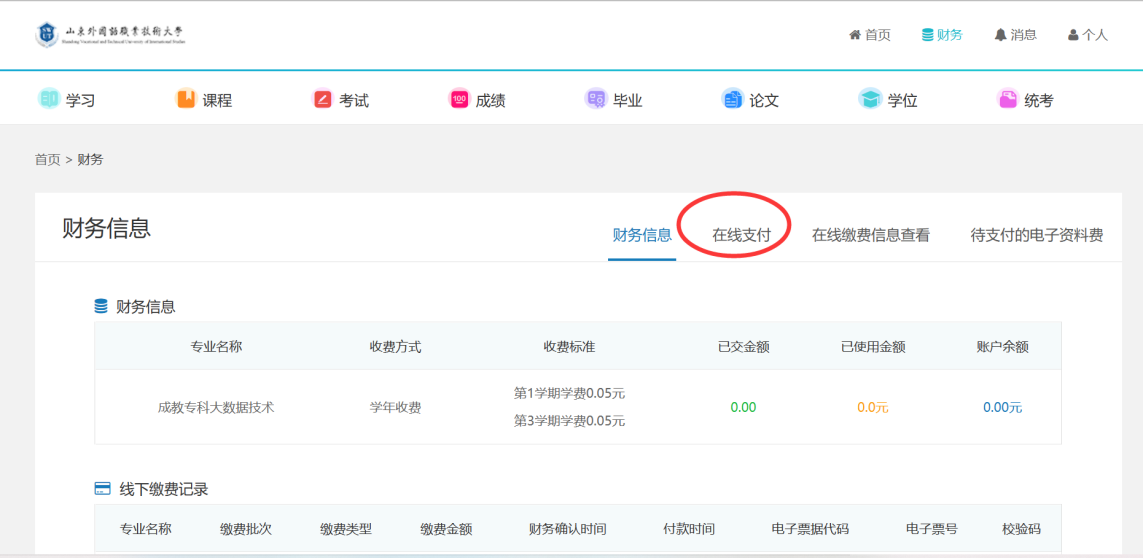 2024年山东外国语职业技术大学成人高考学费缴纳操作流程(图4)