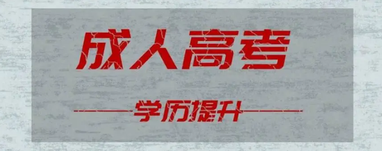 山东省2024年成人高考热门专业(图1)