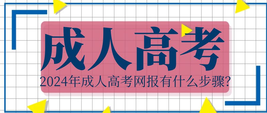 2024年成人高考网报有什么步骤？