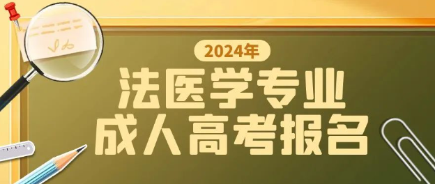 2024年山东成人高考可以报名法医学专业吗？(图1)