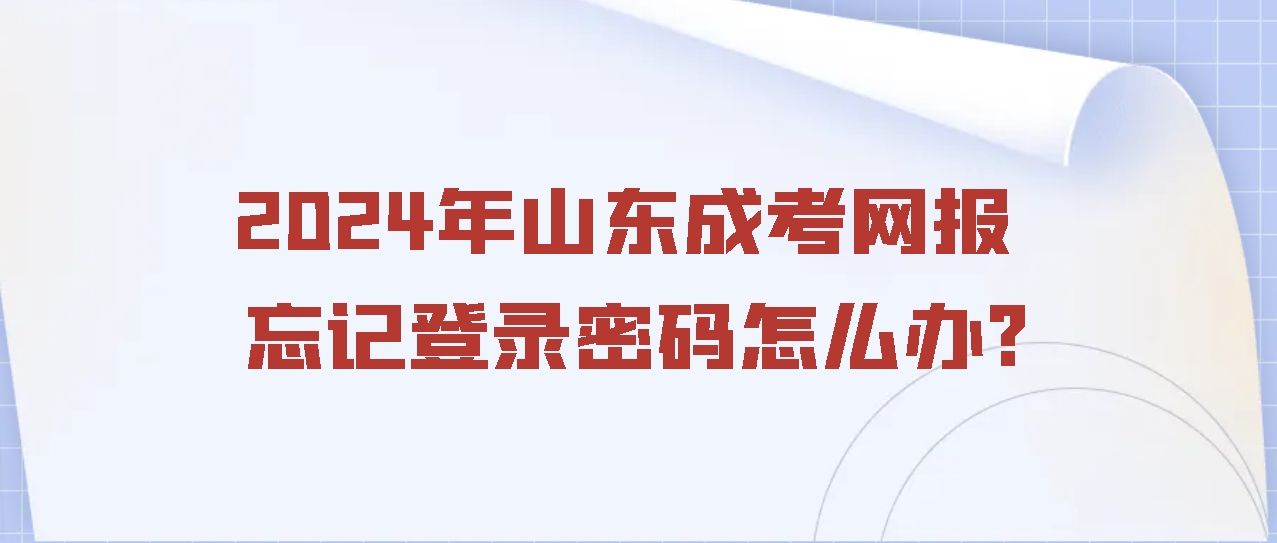 2024年山东成考网报忘记登录密码怎么办?