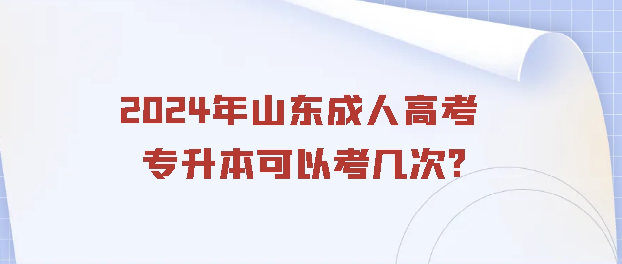 2024年山东成人高考专升本可以考几次?(图1)