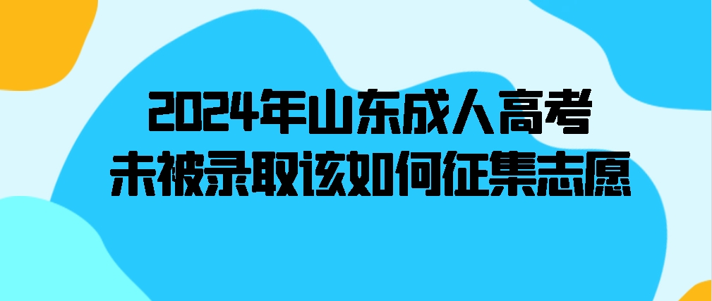 2024年山东成人高考未被录取该如何征集志愿(图1)