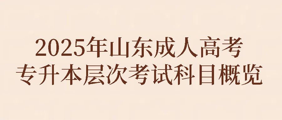 2025年山东成人高考专升本层次考试科目概览(图1)