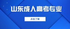 2021年山东成考专业报哪个好考公务员？